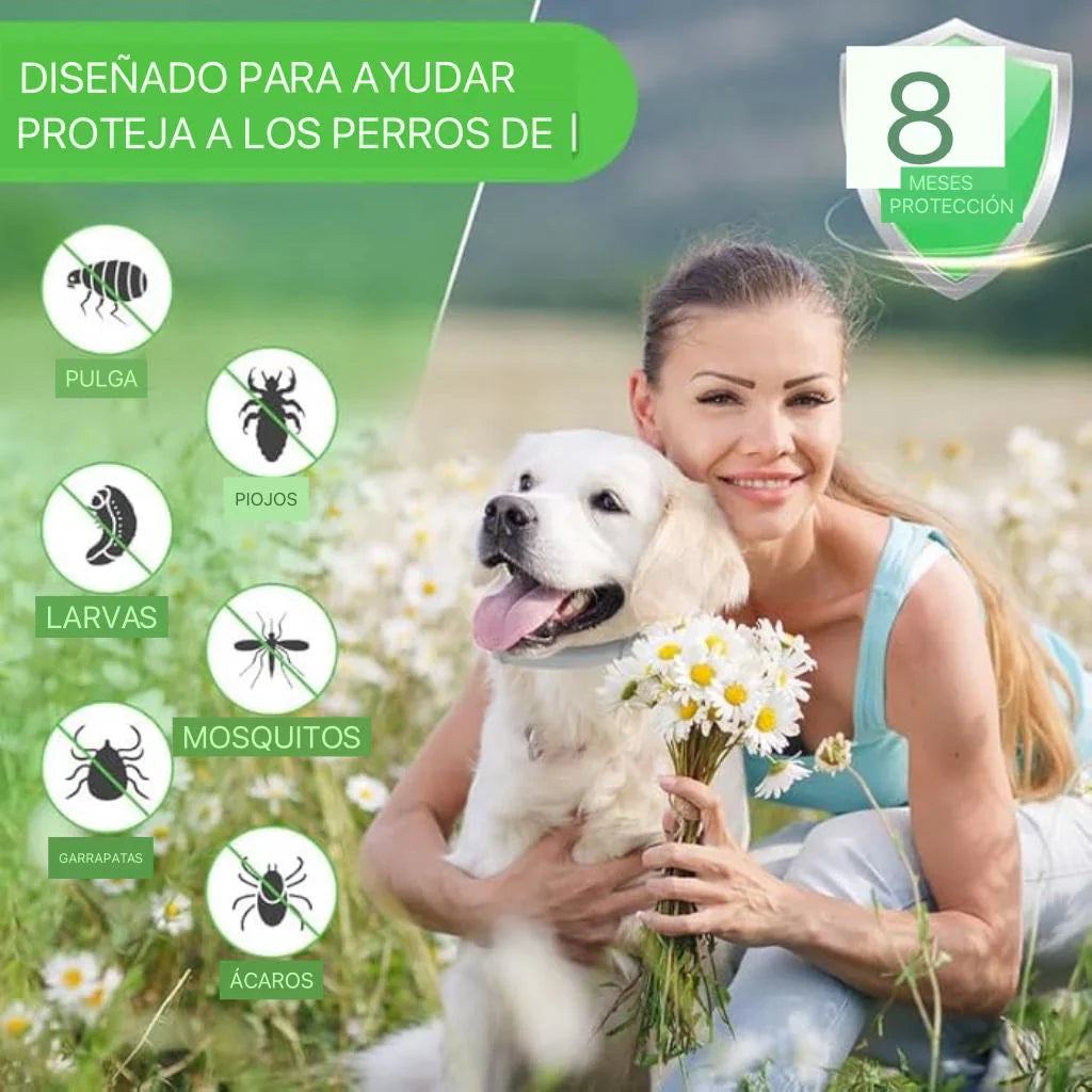 Collar Protección TOTAL – 8 Meses sin pulgas para Tu Peludito!