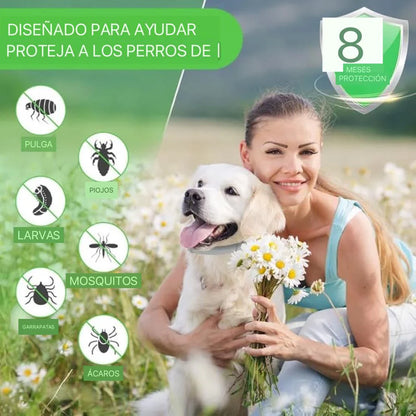 Collar Protección TOTAL – 8 Meses sin pulgas para Tu Peludito!